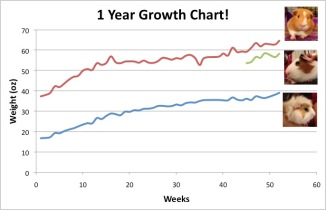1 year Growth Report